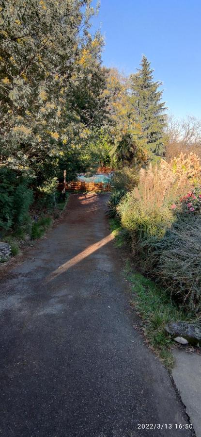 B&B En Plein Coeur De La Foret Artiguelouve 외부 사진